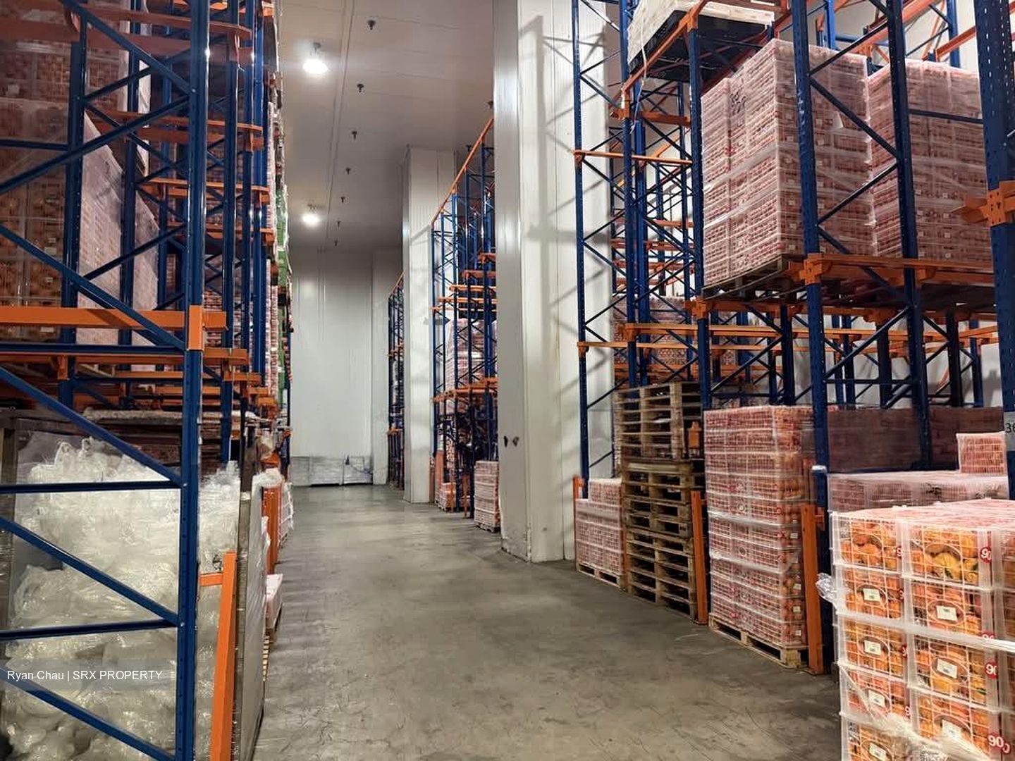 Pandan Loop (D5), Warehouse #589652421